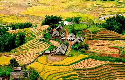 Thung Lũng Mường Hoa - Hòn Ngọc Quý Giữa Núi Rừng Tây Bắc Thung Lũng Mường Hoa - Hòn Ngọc Quý Giữa Núi Rừng Tây Bắc