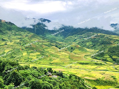 Thung Lũng Mường Lò trải nghiệm những cung bậc cảm xúc khó quên Thung Lũng Mường Lò trải nghiệm những cung bậc cảm xúc khó quên