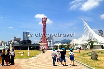 Toàn cảnh du lịch Kobe: 10 điểm thăm quan thú vị nhất Toàn cảnh du lịch Kobe: 10 điểm thăm quan thú vị nhất