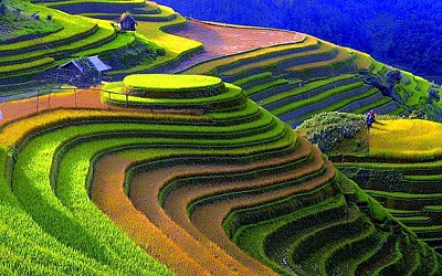Tổng hợp kinh nghiệm du lịch Mù Cang Chải Tổng hợp kinh nghiệm du lịch Mù Cang Chải
