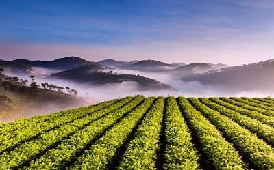 Top 5 địa điểm ngắm cảnh Đà Lạt hoàng hôn đẹp nhất Top 5 địa điểm ngắm cảnh Đà Lạt hoàng hôn đẹp nhất