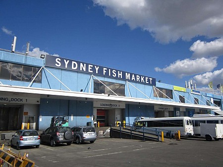 Chợ cá Sydney – Thưởng thức hải sản ngon đến nức lòng