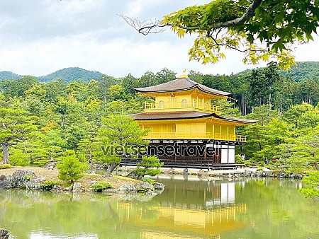 Chùa Vàng Kinkakuji: Điểm thăm quan nổi bật nhất ở Kyoto