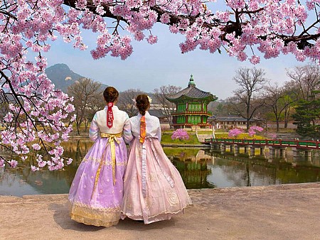 Đi Hàn Quốc mùa nào tháng mấy đẹp nhất?