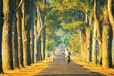 Đi Tây Nguyên mùa nào đẹp nhất? Chọn thời điểm du lịch lý tưởng