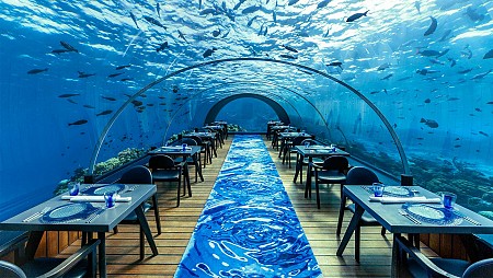 Ithaa - Nhà hàng dưới biển độc đáo tại Maldives