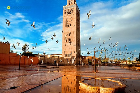 Khám phá Maroc: Những điều mới lạ bạn chưa từng biết