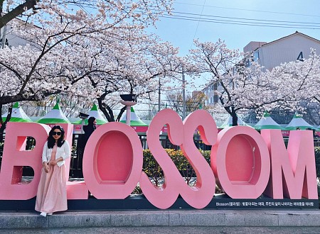 Kinh nghiệm du lịch mùa hoa Anh Đào Hàn Quốc năm nay