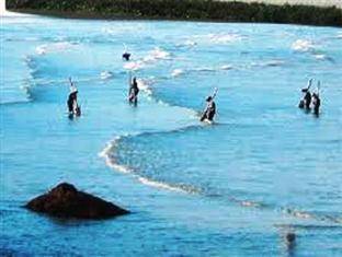 KS Hạ Long Cửa Lò