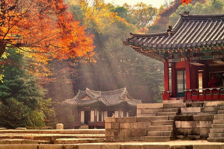 Mùa Thu Hàn Quốc Với Những Trải Nghiệm Tuyệt Vời