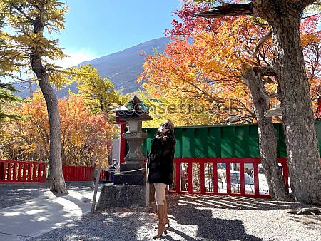Mùa thu Nhật Bản từ tháng mấy? Kinh nghiệm Du lịch mùa lá đỏ