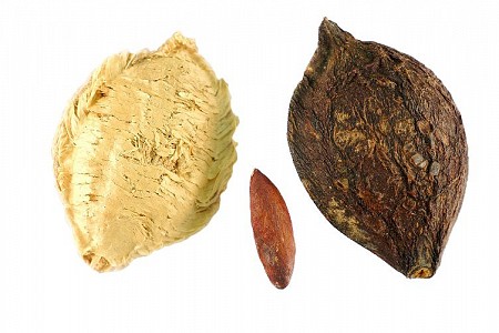 Mứt hạt bàng Côn Đảo-Đặc sản ngon bổ dưỡng