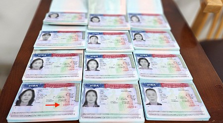 Nhận biết Số Visa Mỹ cách đọc thông tin trên thị thực Hoa Kỳ
