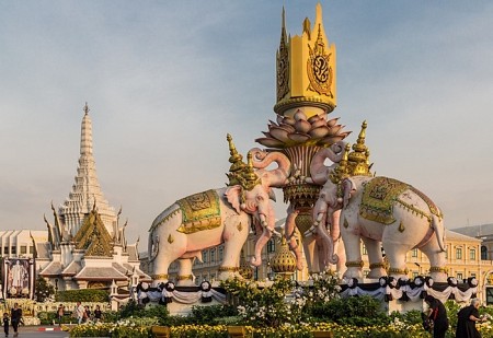 Những Thông Tin Thú Vị Xoay Quanh Loài Voi - Biểu Tượng Của Đất Nước Thái Lan