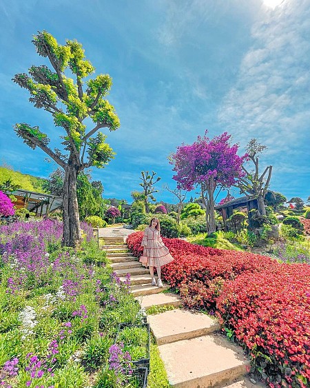 Que Garden - Nhật Bản thu nhỏ giữa lòng thành phố Đà Lạt