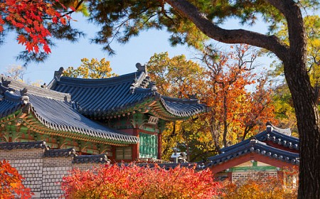 Review Du lịch mùa lá vàng Hàn Quốc năm nay