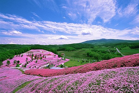 Review trải nghiệm Hokkaido qua 4 mùa trong năm