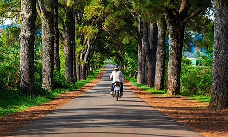 Tây Nguyên Ở Đâu? Hướng Dẫn Cách Di Chuyển Tới Tây Nguyên