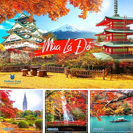 Dự báo thời điểm chính vụ mùa lá đỏ ở Nhật Bản 2024