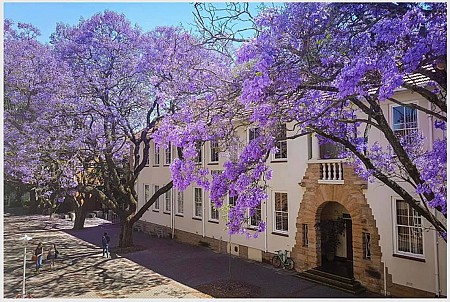 Toàn cảnh du lịch Pretoria thành phố của loài hoa phượng tím