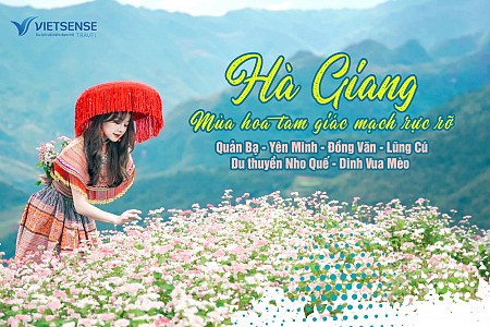 Tour khám phá Hà Giang mùa hoa tam giác mạch rực rỡ