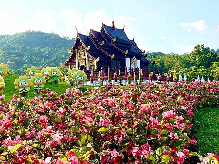 Chiêm ngưỡng vườn hoa Hoàng Gia Royal Flora Chiang Mai