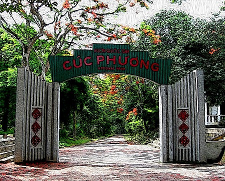 Vườn quốc gia Cúc Phương - Rừng nguyên sinh đẹp nhất Việt Nam