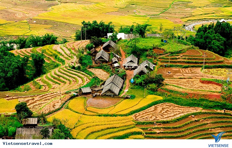 Giới thiệu chung