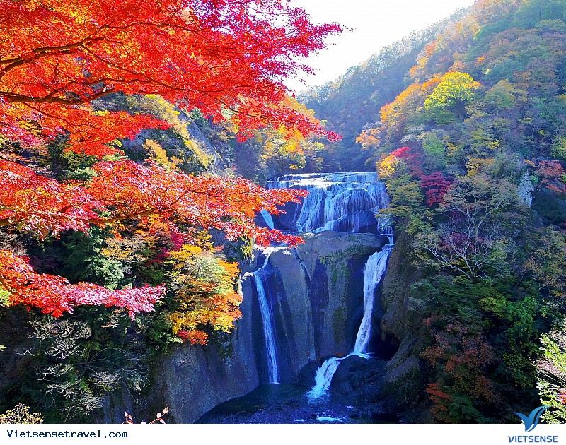 Những Điểm Ngắm Cảnh Mùa Thu Đẹp Nhất Nhật Bản