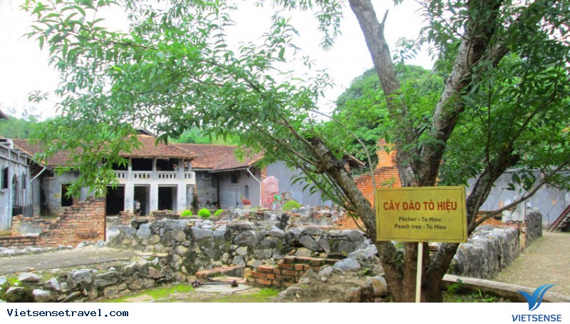 Tour du lịch Tây Bắc: Sơn La – Điện Biên ngắm mùa hoa ban nở