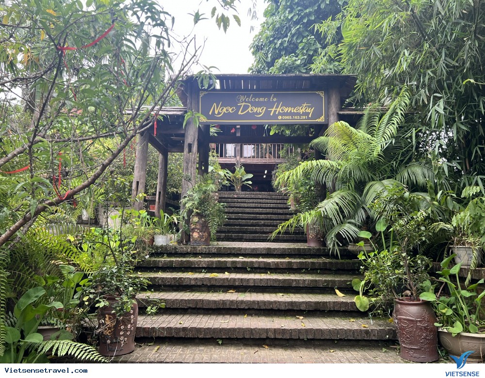 Ngọc Đồng Homestay Eco Village - Ảnh 1 Ngọc Đồng Homestay Eco Village - Ảnh 1