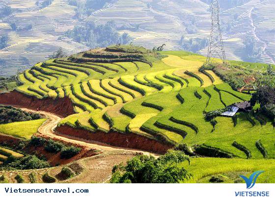 Du lịch Sapa