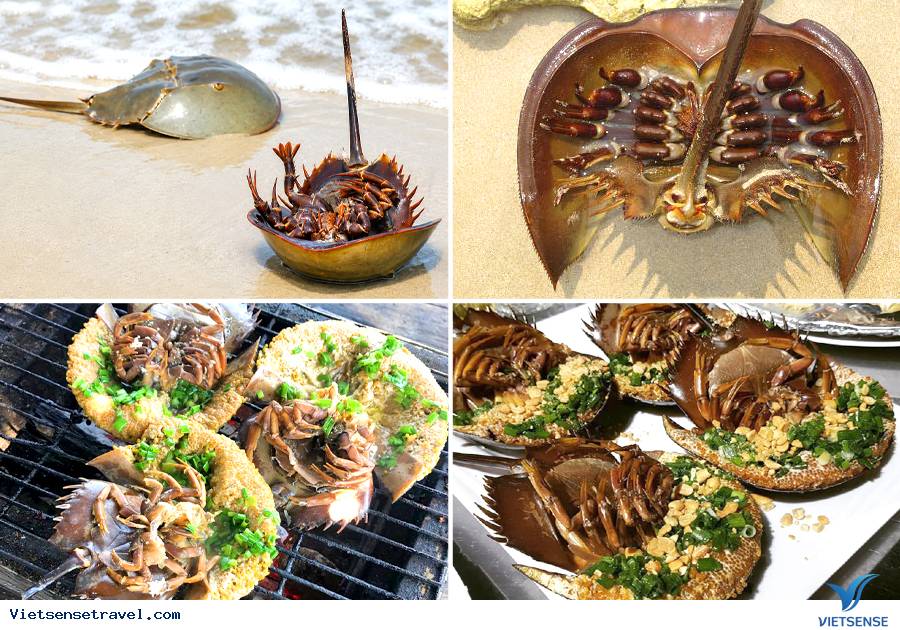 Những món ăn ngon đặc sản Cát Bà khách du lịch không thể bỏ lỡ - Ảnh 2 Những món ăn ngon đặc sản Cát Bà khách du lịch không thể bỏ lỡ - Ảnh 2