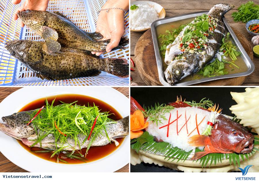 Những món ăn ngon đặc sản Cát Bà khách du lịch không thể bỏ lỡ - Ảnh 4 Những món ăn ngon đặc sản Cát Bà khách du lịch không thể bỏ lỡ - Ảnh 4