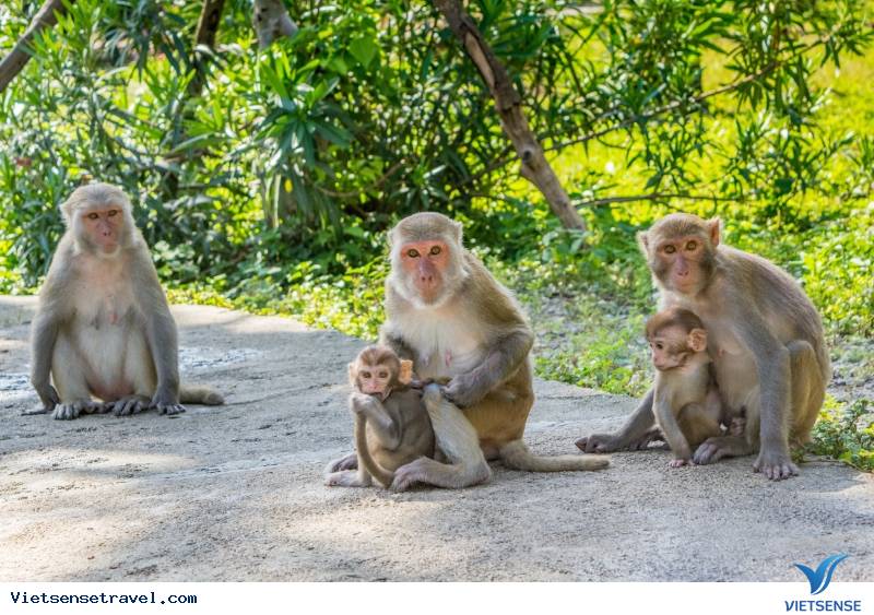 TOP 27 điểm du lịch Nha Trang hấp dẫn nhất định không thể bỏ qua - Ảnh 2 TOP 27 điểm du lịch Nha Trang hấp dẫn nhất định không thể bỏ qua - Ảnh 2