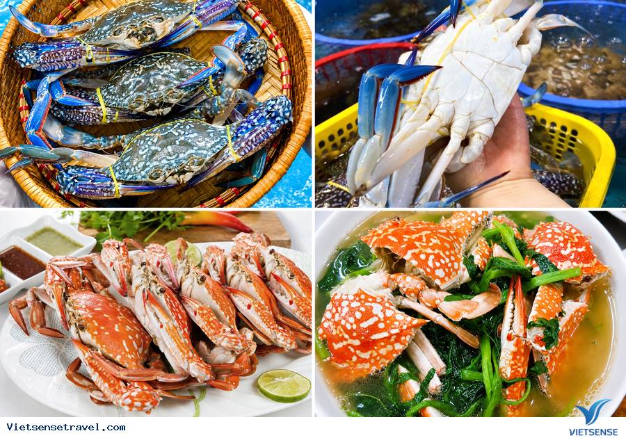 Những món ăn ngon đặc sản Cát Bà khách du lịch không thể bỏ lỡ - Ảnh 5 Những món ăn ngon đặc sản Cát Bà khách du lịch không thể bỏ lỡ - Ảnh 5