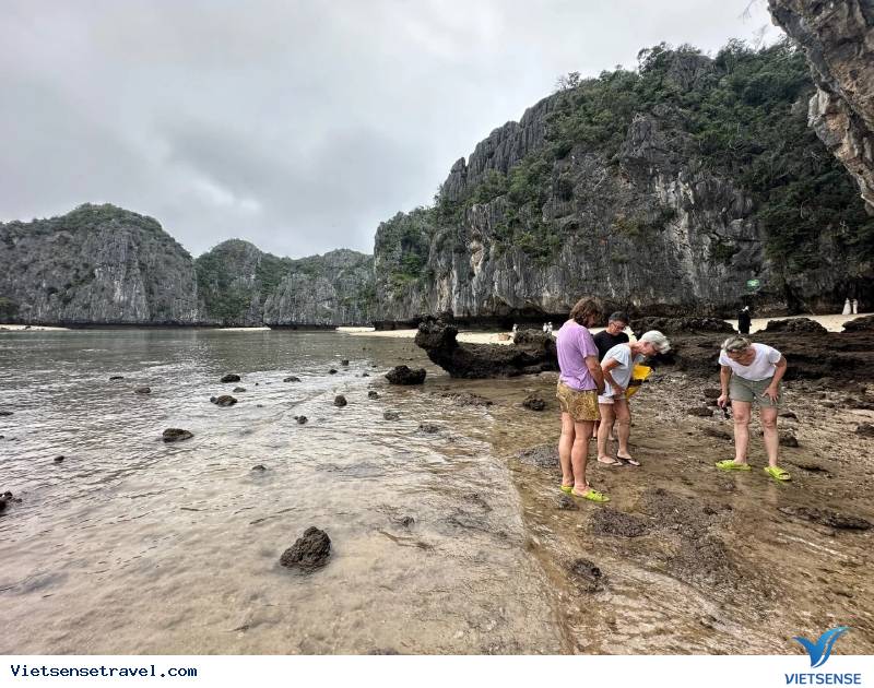 TOP 16 địa điểm vui chơi, check-in cực hấp dẫn tại Cát Bà - Ảnh 3