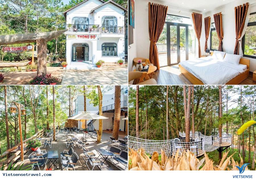 43 Homestay Villa resort Khách sạn Măng Đen - Ảnh 6 43 Homestay Villa resort Khách sạn Măng Đen - Ảnh 6