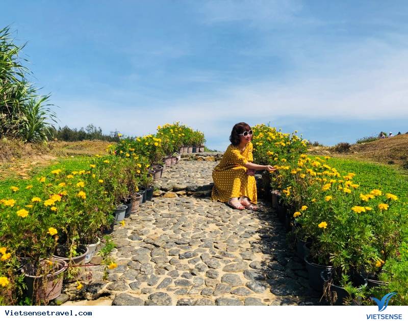 Trọn bộ cẩm nang du lịch biển Tuy Hoà Phú Yên chi tiết - Ảnh 2 Trọn bộ cẩm nang du lịch biển Tuy Hoà Phú Yên chi tiết - Ảnh 2