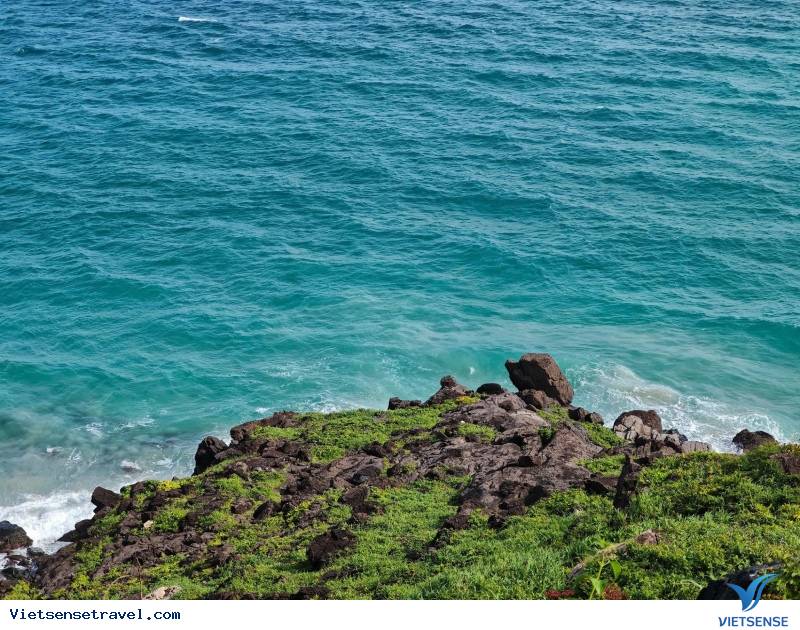 Cẩm nang du lịch bãi Đầm Trầu Côn Đảo: Lưu trú, ăn chơi - Ảnh 2