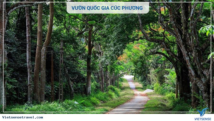 Bảng Giá vé thắng cảnh các điểm du lịch Ninh Bình - Ảnh 11