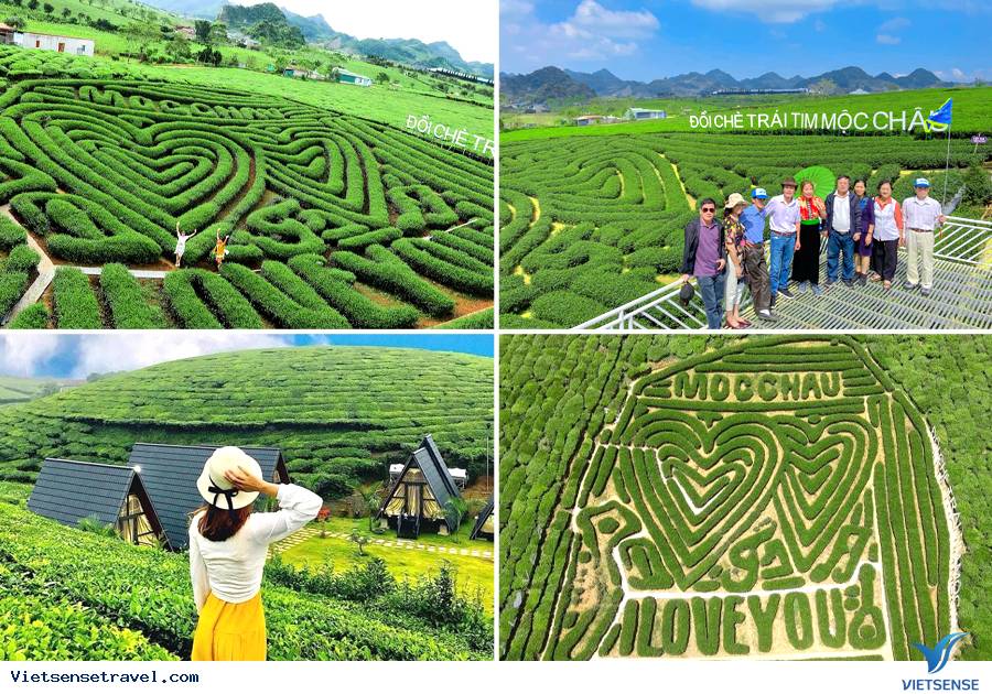 Giá vé các điểm thăm quan tại Mộc Châu Sơn La - Ảnh 6 Giá vé các điểm thăm quan tại Mộc Châu Sơn La - Ảnh 6