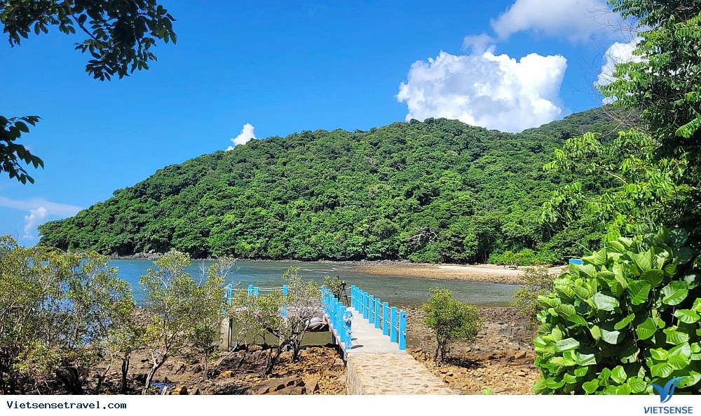 Gợi ý 23 điểm tham quan Côn Đảo hấp dẫn, không thể bỏ qua - Ảnh 7