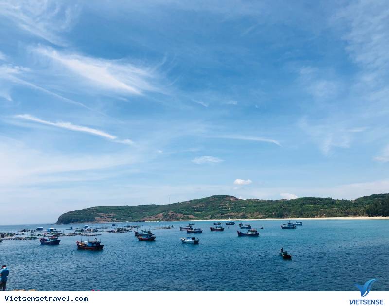 Trọn bộ cẩm nang du lịch biển Tuy Hoà Phú Yên chi tiết - Ảnh 4 Trọn bộ cẩm nang du lịch biển Tuy Hoà Phú Yên chi tiết - Ảnh 4