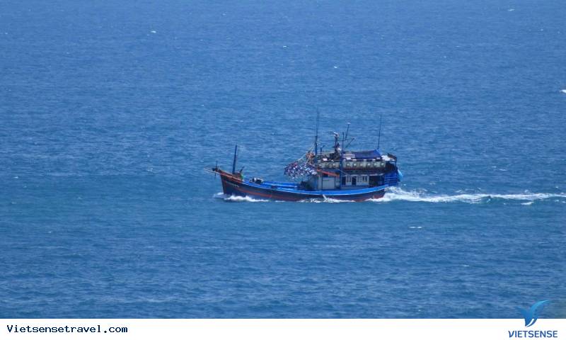 Cẩm nang du lịch bãi Đầm Trầu Côn Đảo: Lưu trú, ăn chơi - Ảnh 4