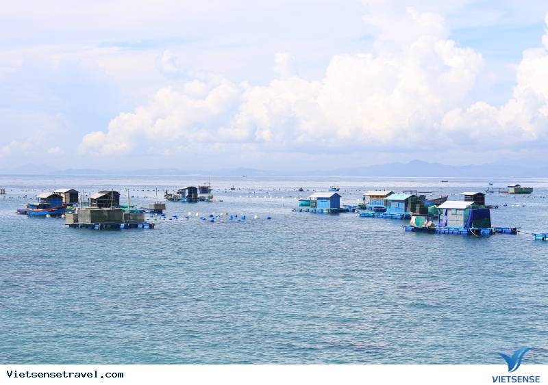 Trọn bộ cẩm nang du lịch biển Tuy Hoà Phú Yên chi tiết - Ảnh 5 Trọn bộ cẩm nang du lịch biển Tuy Hoà Phú Yên chi tiết - Ảnh 5