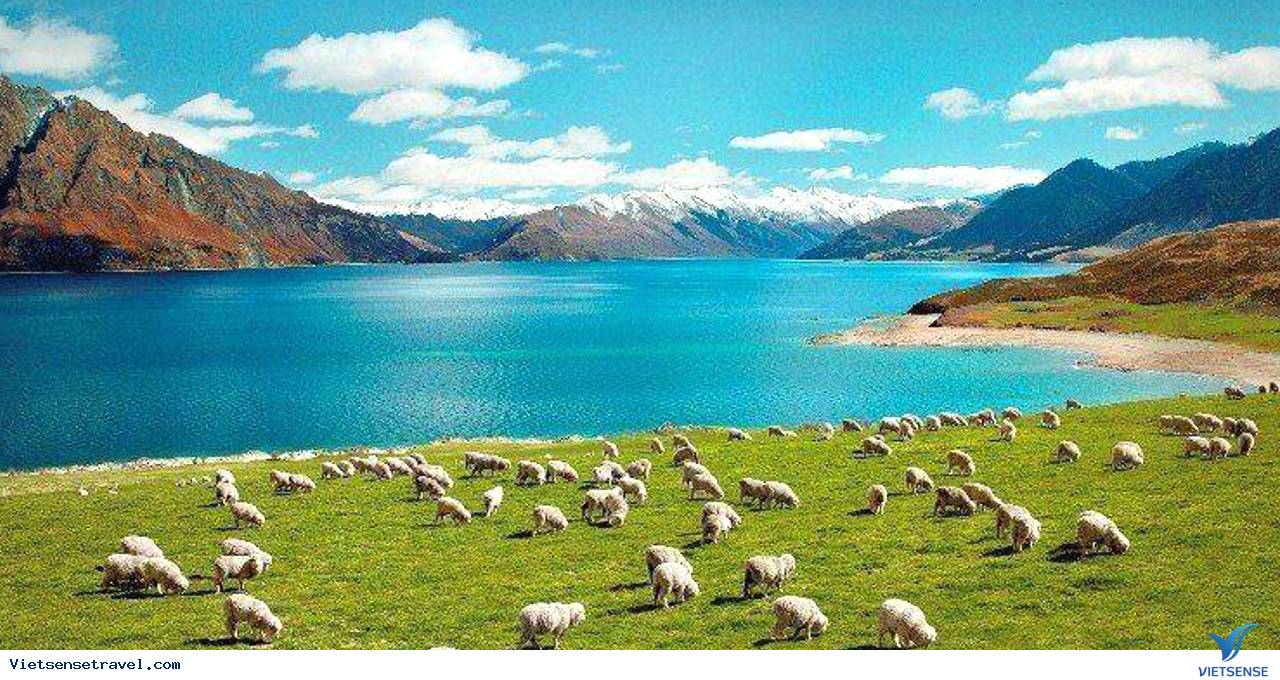 Tour Du Lịch New Zealand Trọn Gói, Giá rẻ, Uy Tín 2024