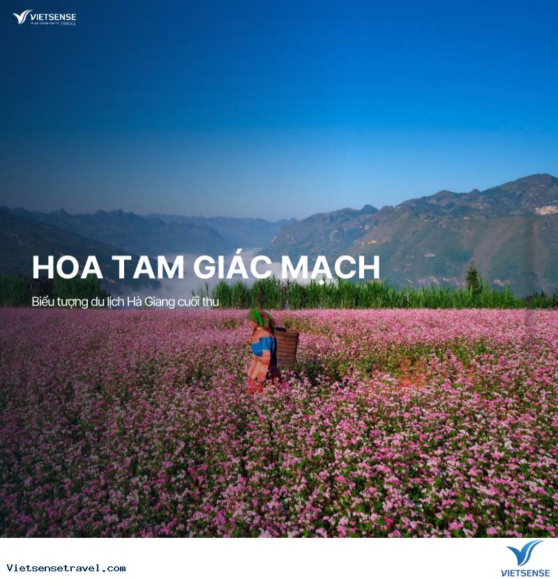 Thời điểm vàng để khám phá du lịch Hà Giang