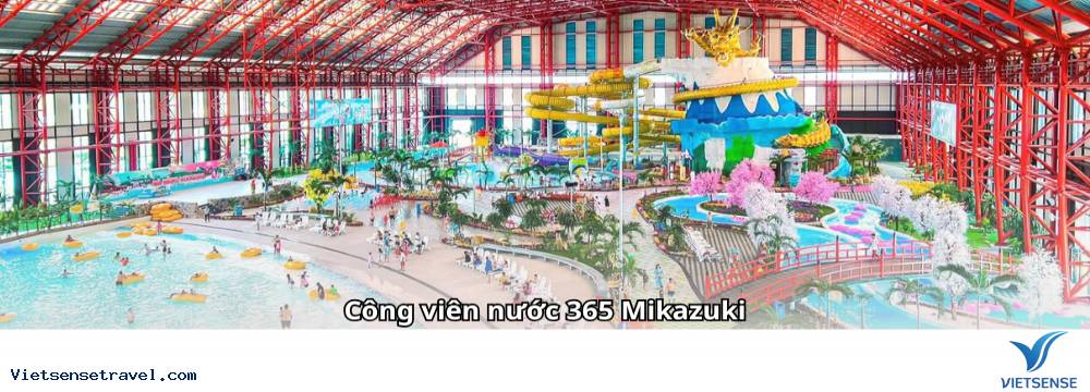  - Ảnh 2