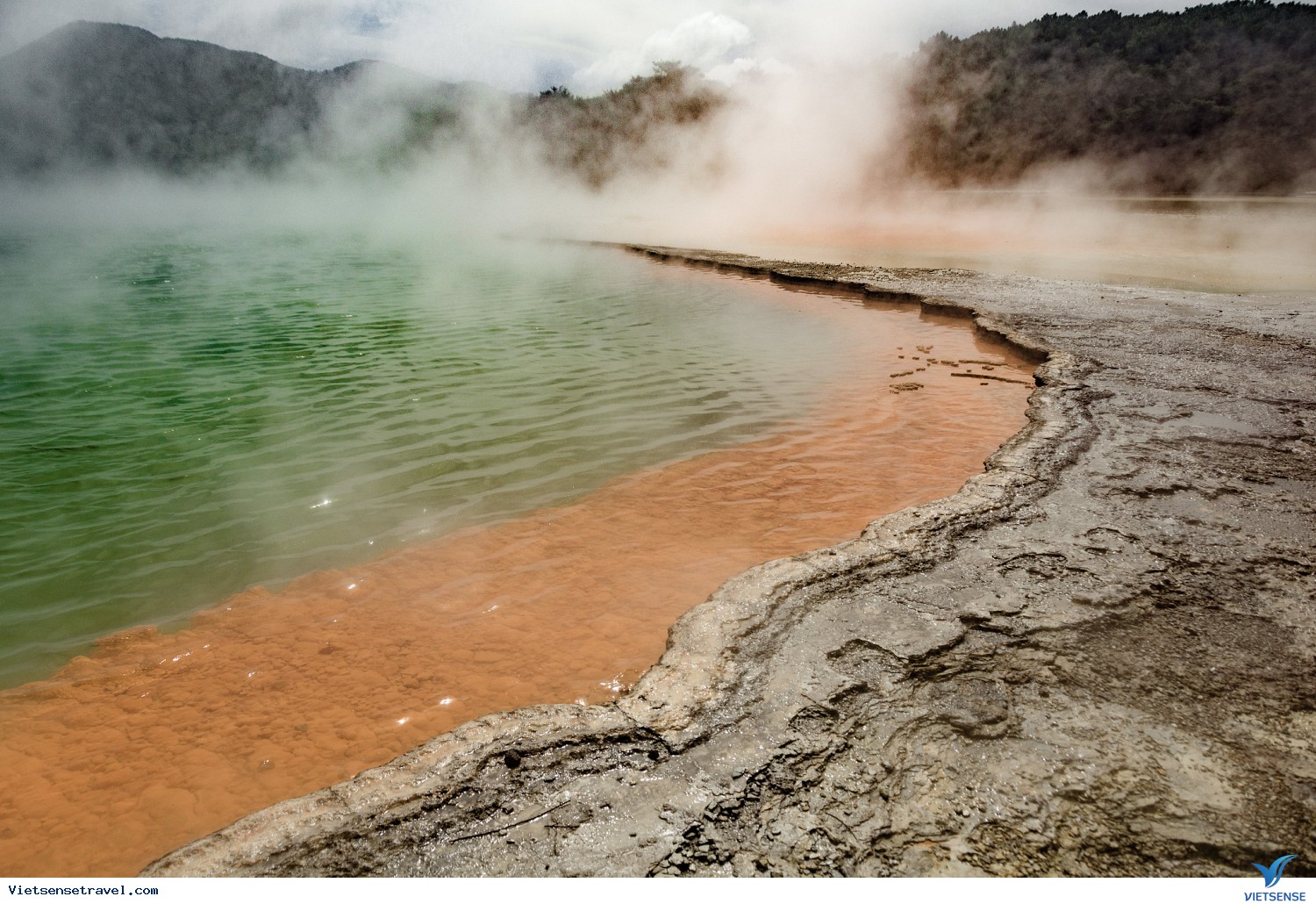 AUCKLAND - ĐỘNG WAITORO - ROTORUA